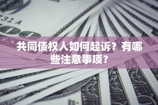 北京共同债权人如何起诉？有哪些注意事项？